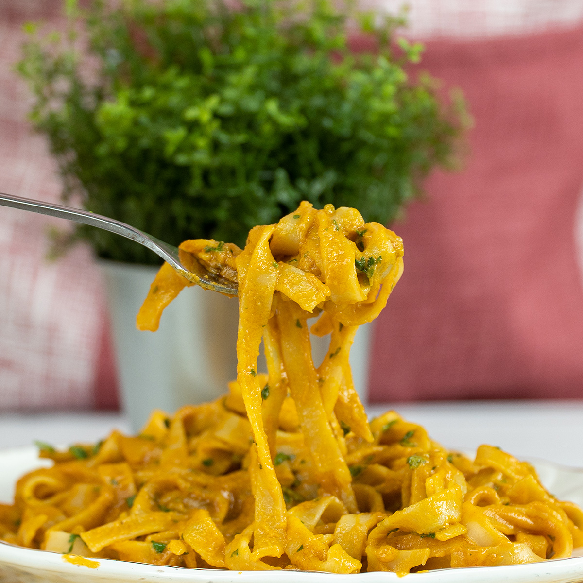 Empratamento de tagliatelle ao molho de camarão finalizado.