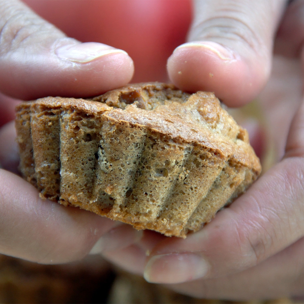 Muffins fit de maçã e aveia prontos para servir.