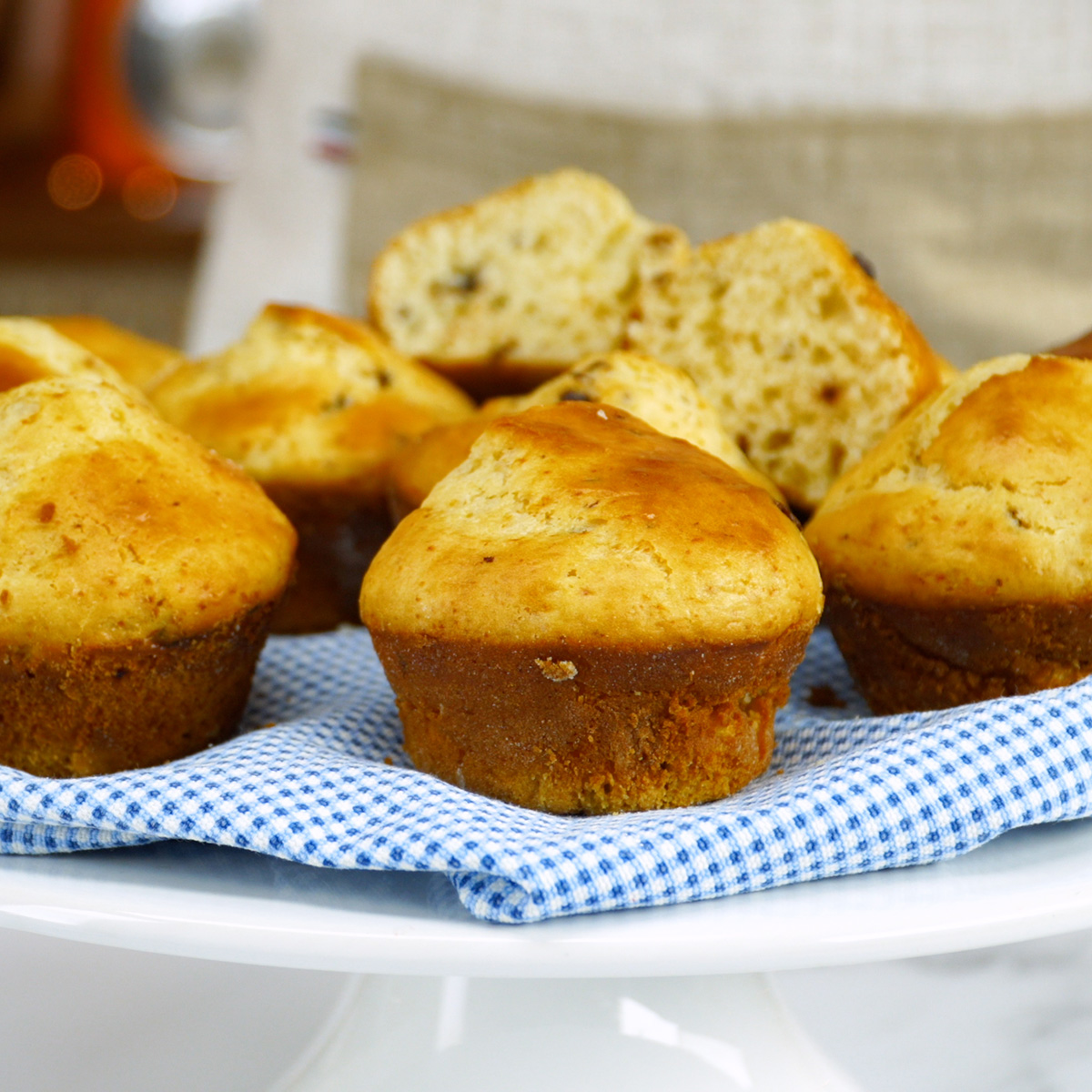 Muffins de iogurte com chocolate recém-assados e prontos para servir.