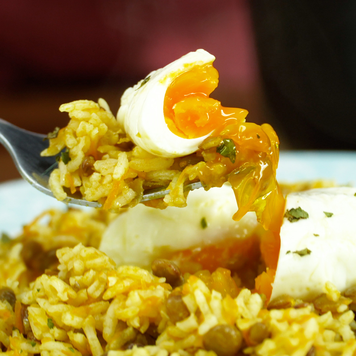 Arroz de lentilhas servido com ovo poché sendo provado.