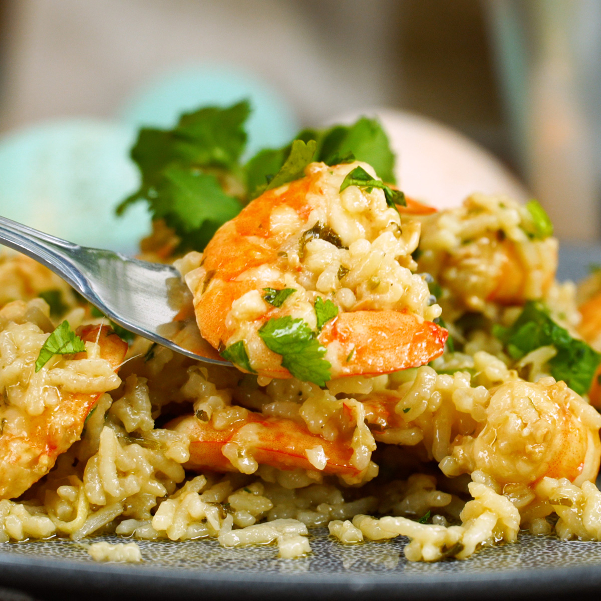 Empratamento arroz de camarão com leite de coco finalizado com coentro.