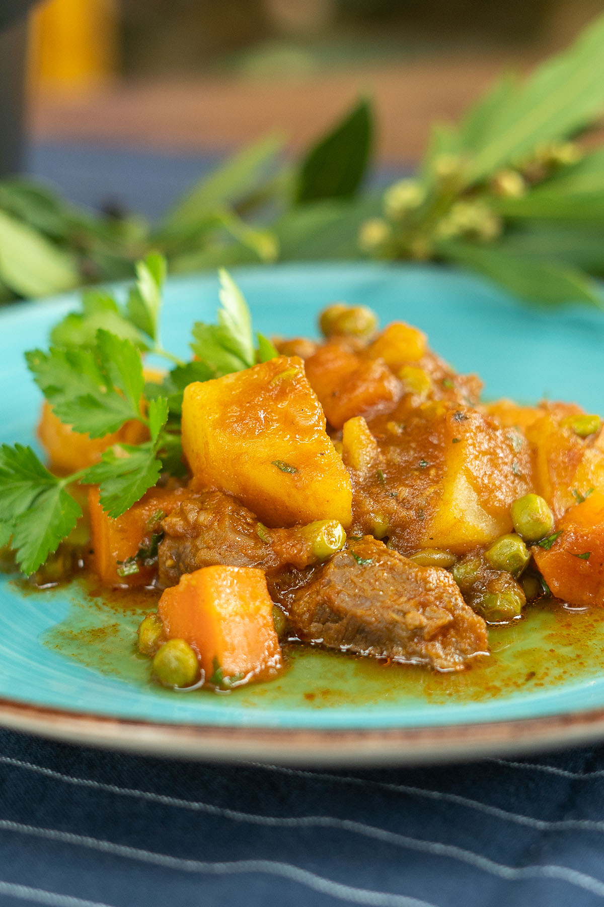 Empratamento jardineira de carne pronta com salsa de decoração.
